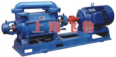 SZB��ˮ�h(hu��n)ʽ��ձýY(ji��)��(g��u)�f��